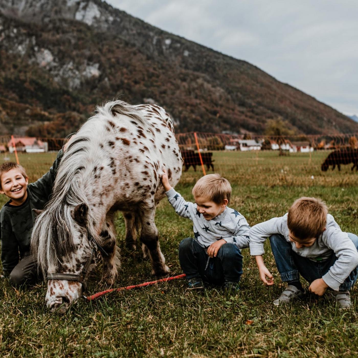 Kinder und Pony am Erlebnisbauernhof Grödig.
