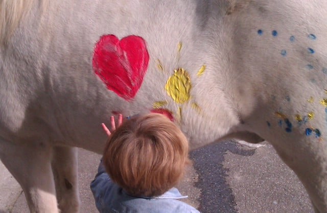 Kinder lieben Pferde bei Pferde – Pur – Reittherapie.