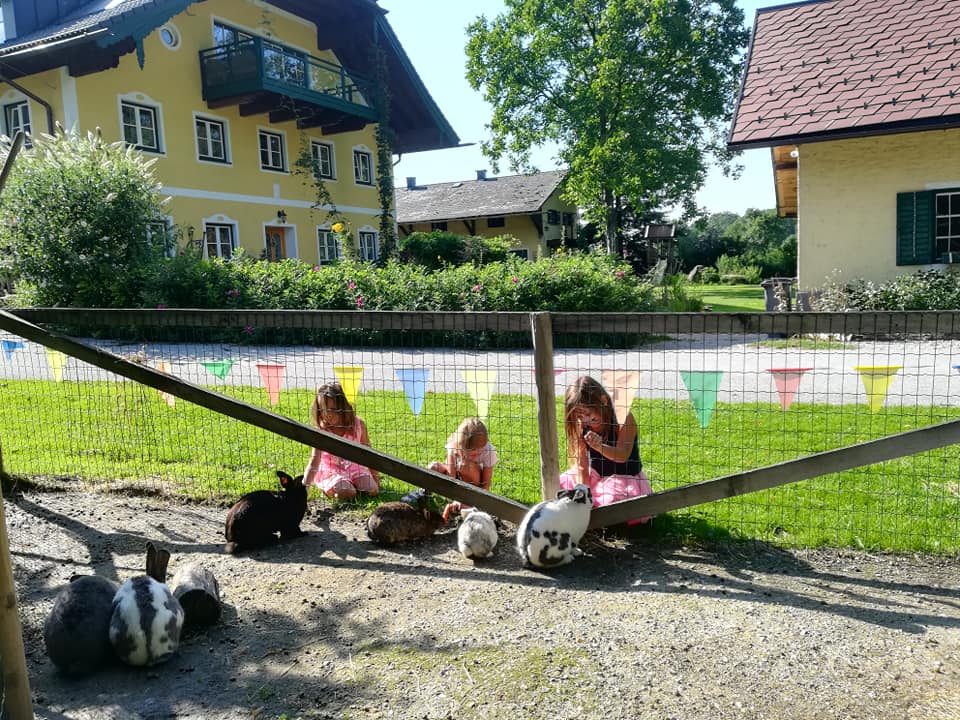 Kinder besuchen den Erlebnisbauernhof Grödig. 