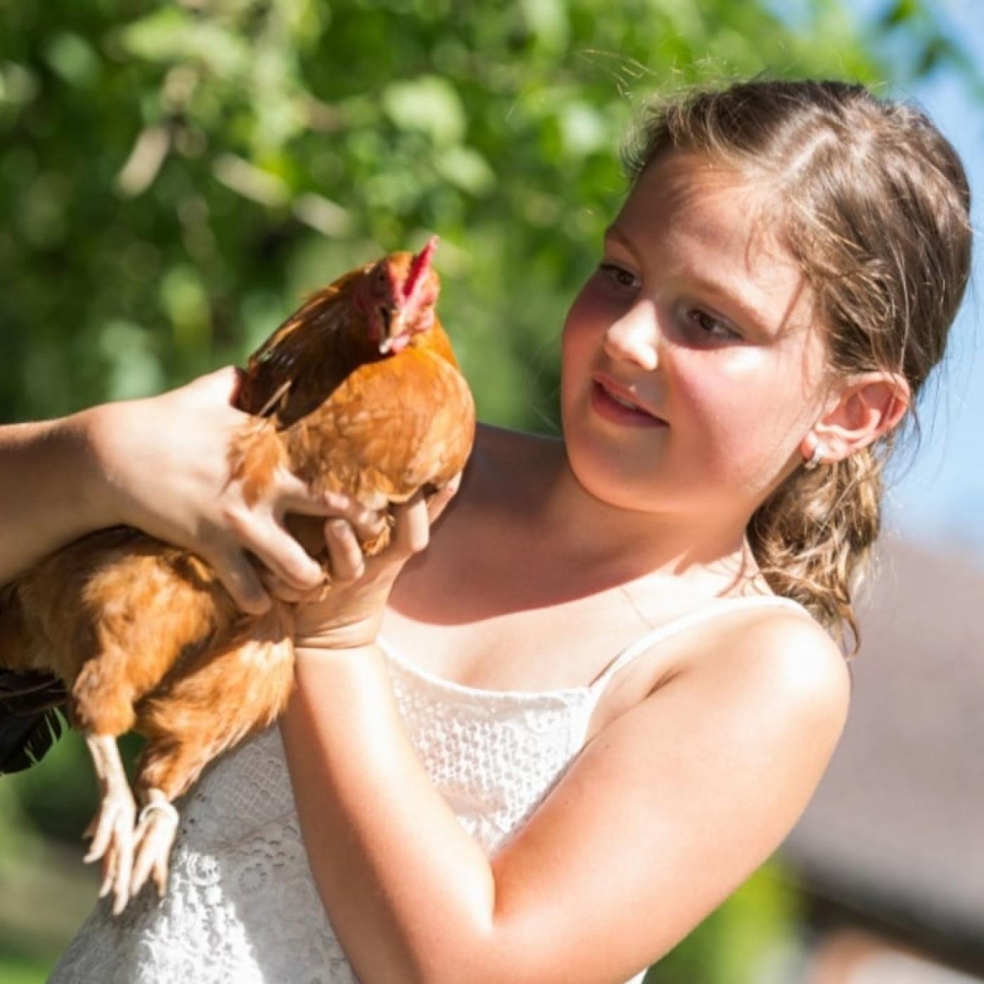 Kinder haben Spaß mit Hühnern und anderen Tieren im Bliem´s Familienhotel.