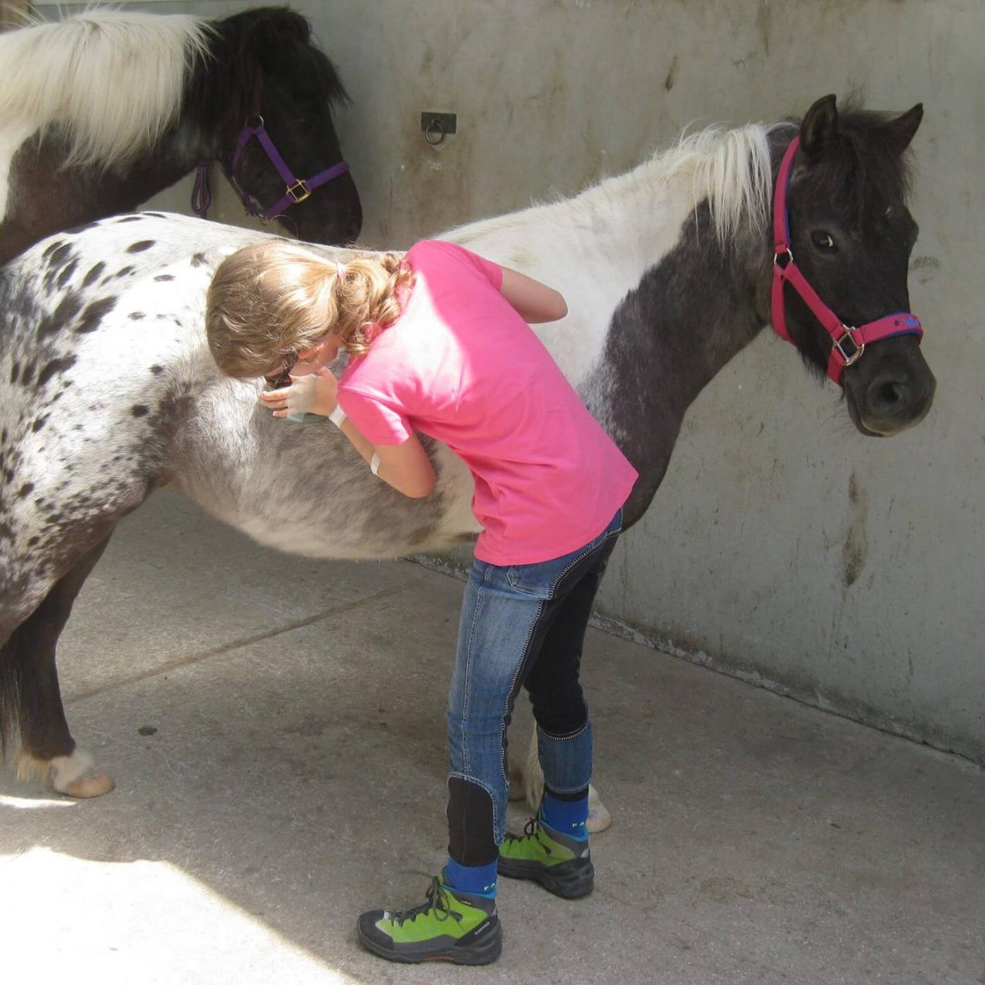 Kind putzt ein Pferd im Ponyclub Salzburg.