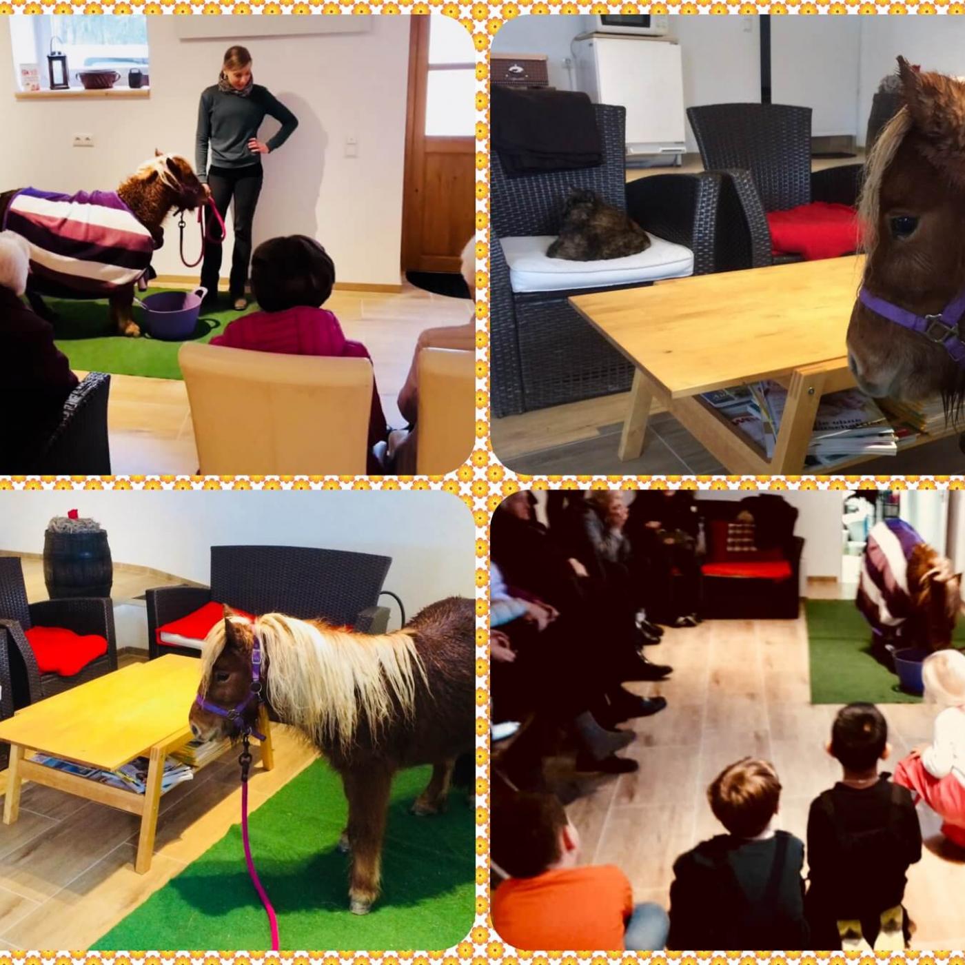Ferienprogramm im Ponyclub Salzburg.