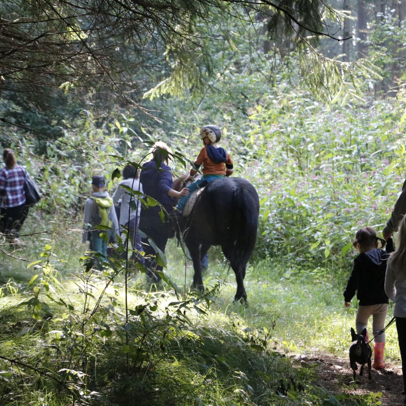 Geführter Ausritt mit Kindern bei Pferde – Pur – Reittherapie.
