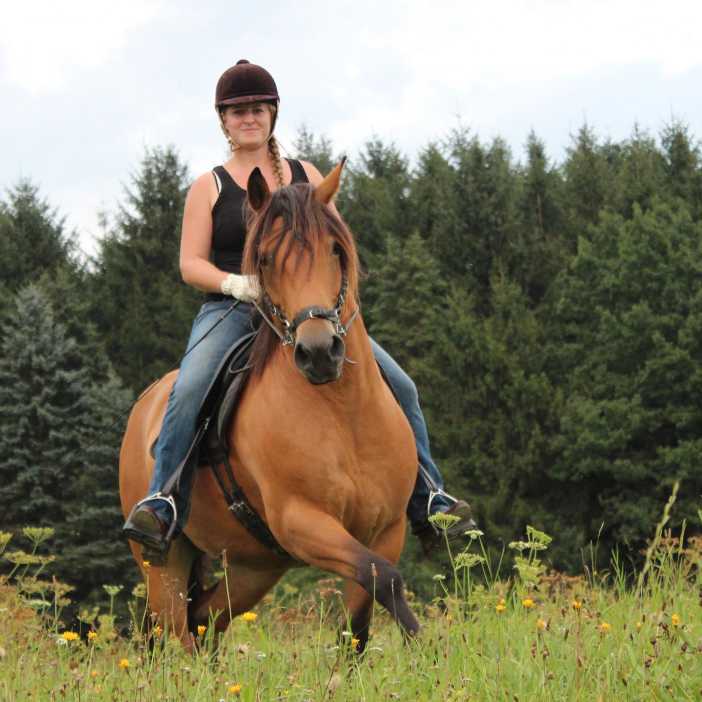Ausritt bei Pferde – Pur – Reittherapie.