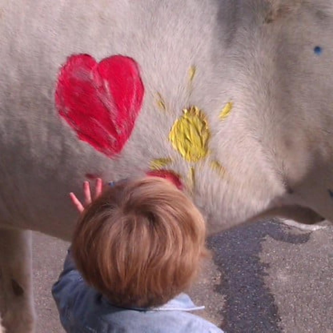 Kinder lieben Pferde bei Pferde – Pur – Reittherapie.