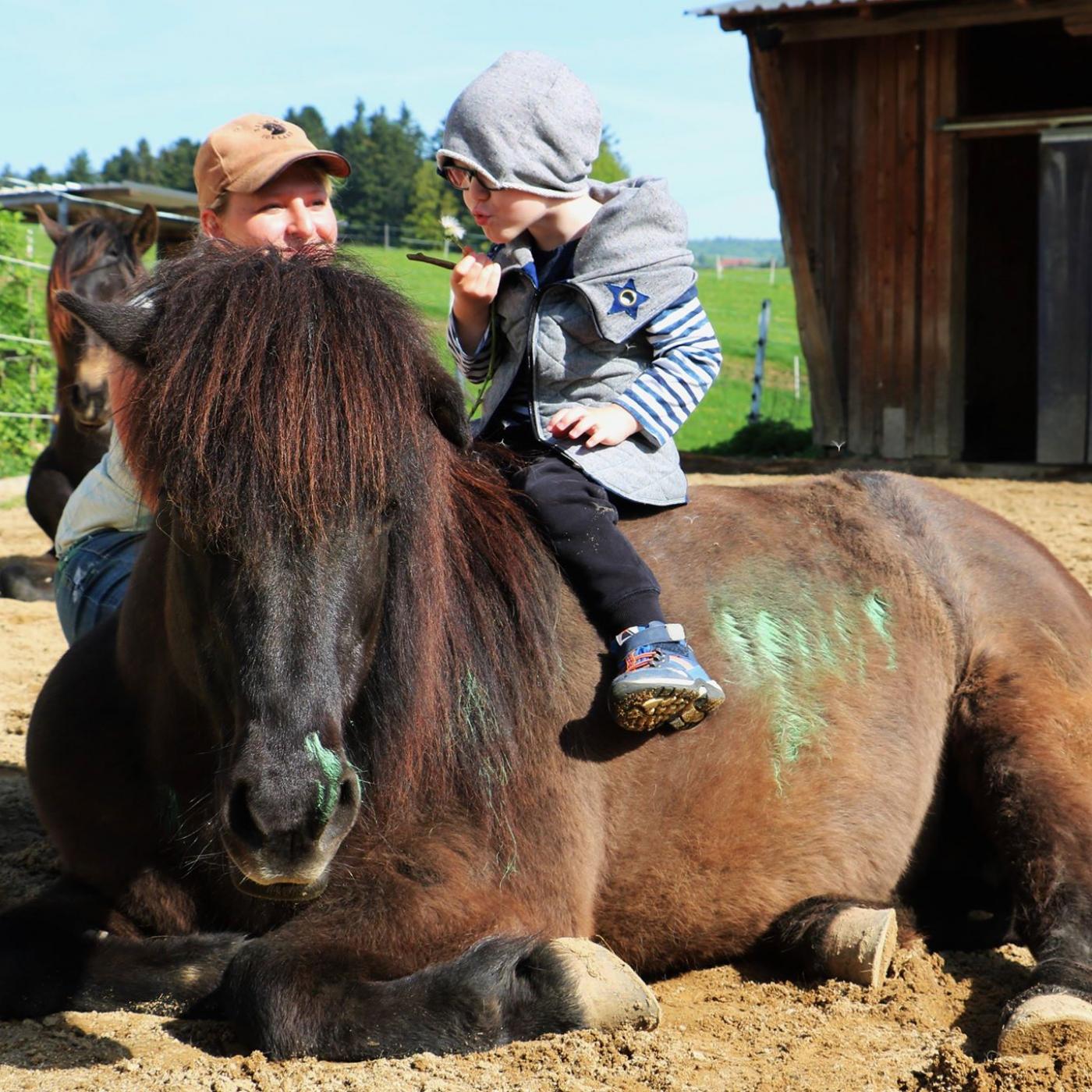 Reittherapie bei Pferde – Pur – Reittherapie.