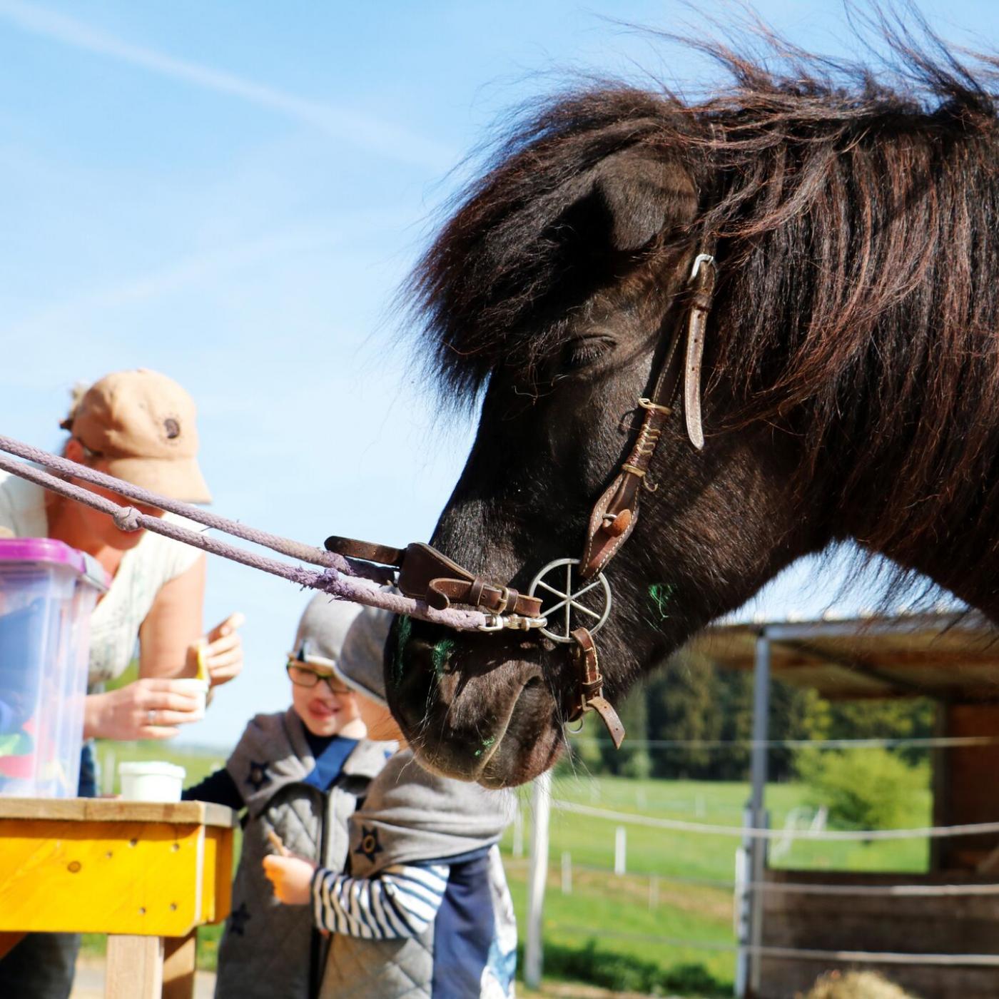 Reitstunden bei Pferde – Pur – Reittherapie.