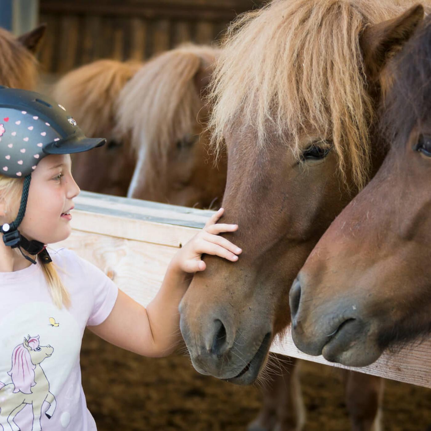 Kinder lieben Pferde im Reitzentrum Hausruckhof in Ampflwang.