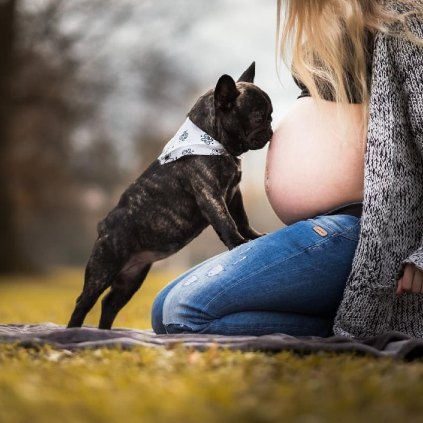Schwangere mit Hund.