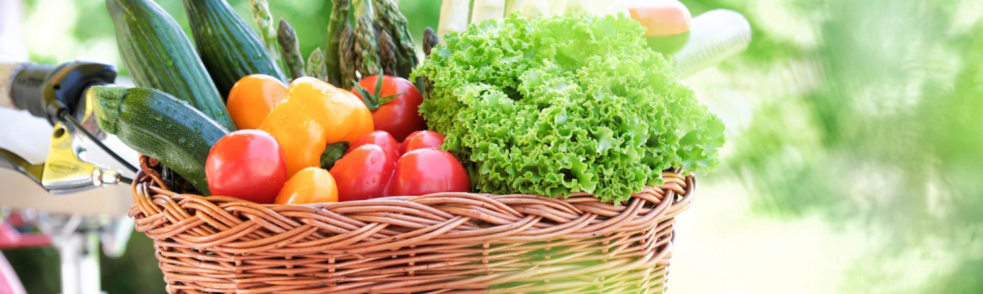 Richtig guat: Bio vom Ökohof Feldinger
