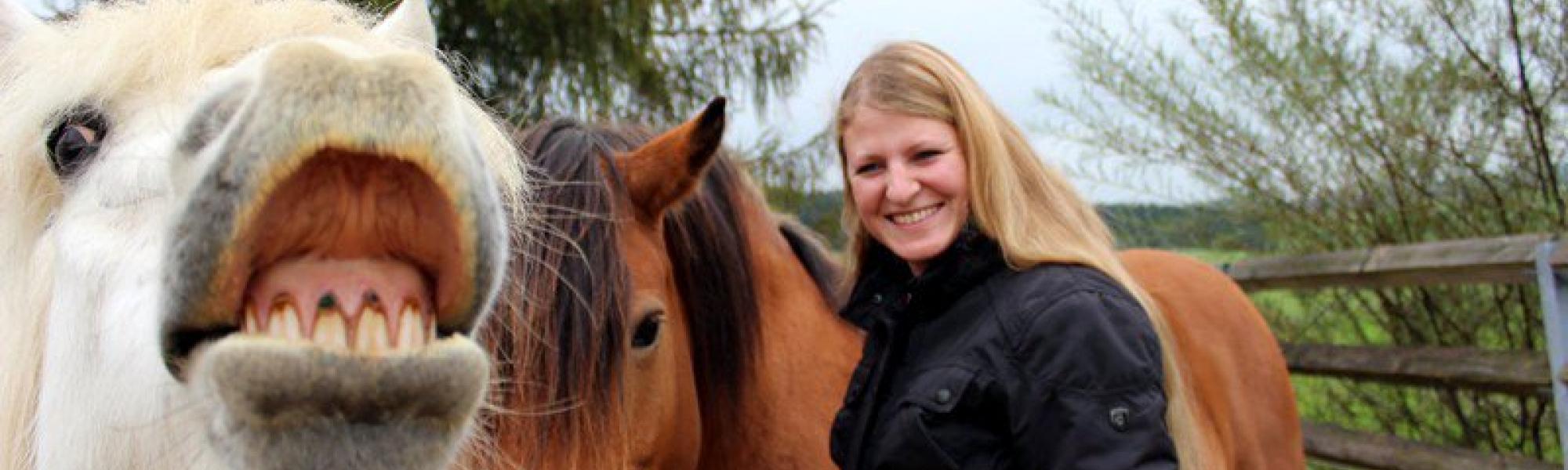 Gutmütige Pferde bei Pferde – Pur – Reittherapie.