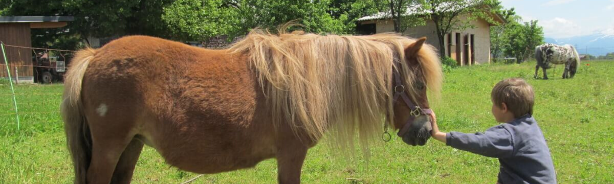 Kind und Pony am Erlebnisbauernhof Grödig.