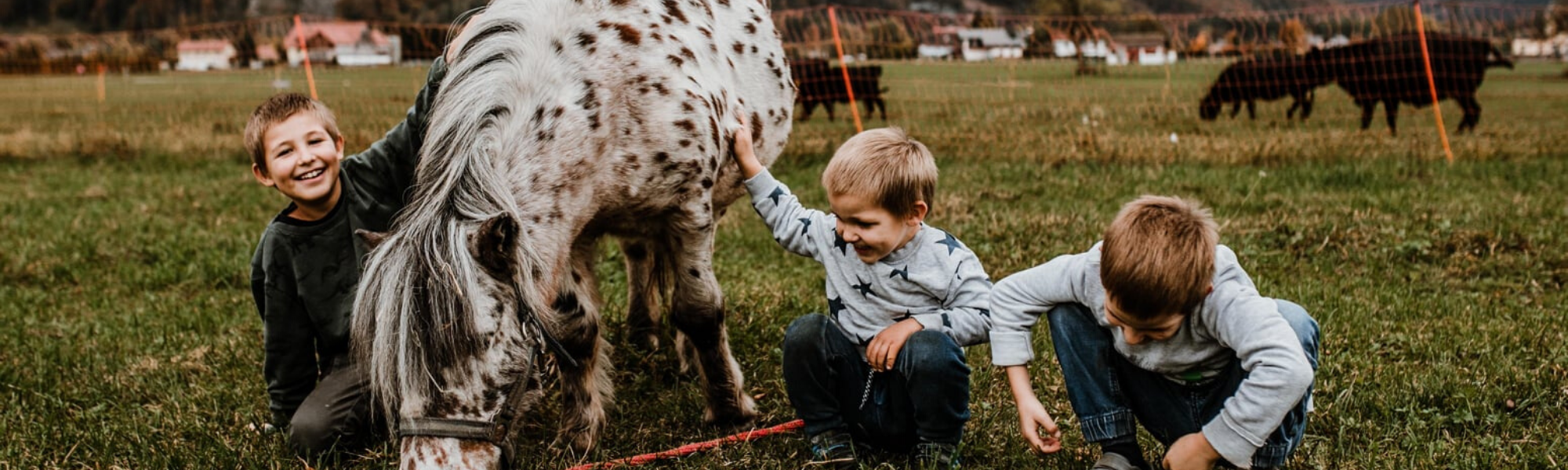 Drei Kinder und Pferd am Erlebnisbauernhof Grödig. 